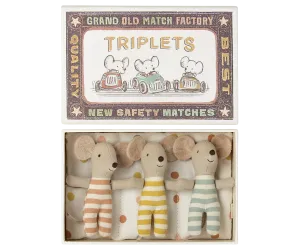 Baby Triplets in Box