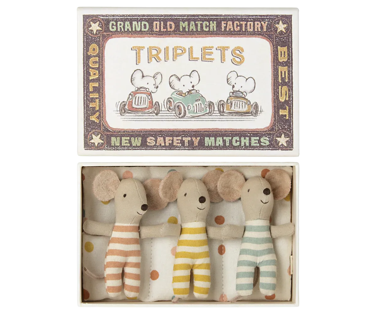 Baby Triplets in Box