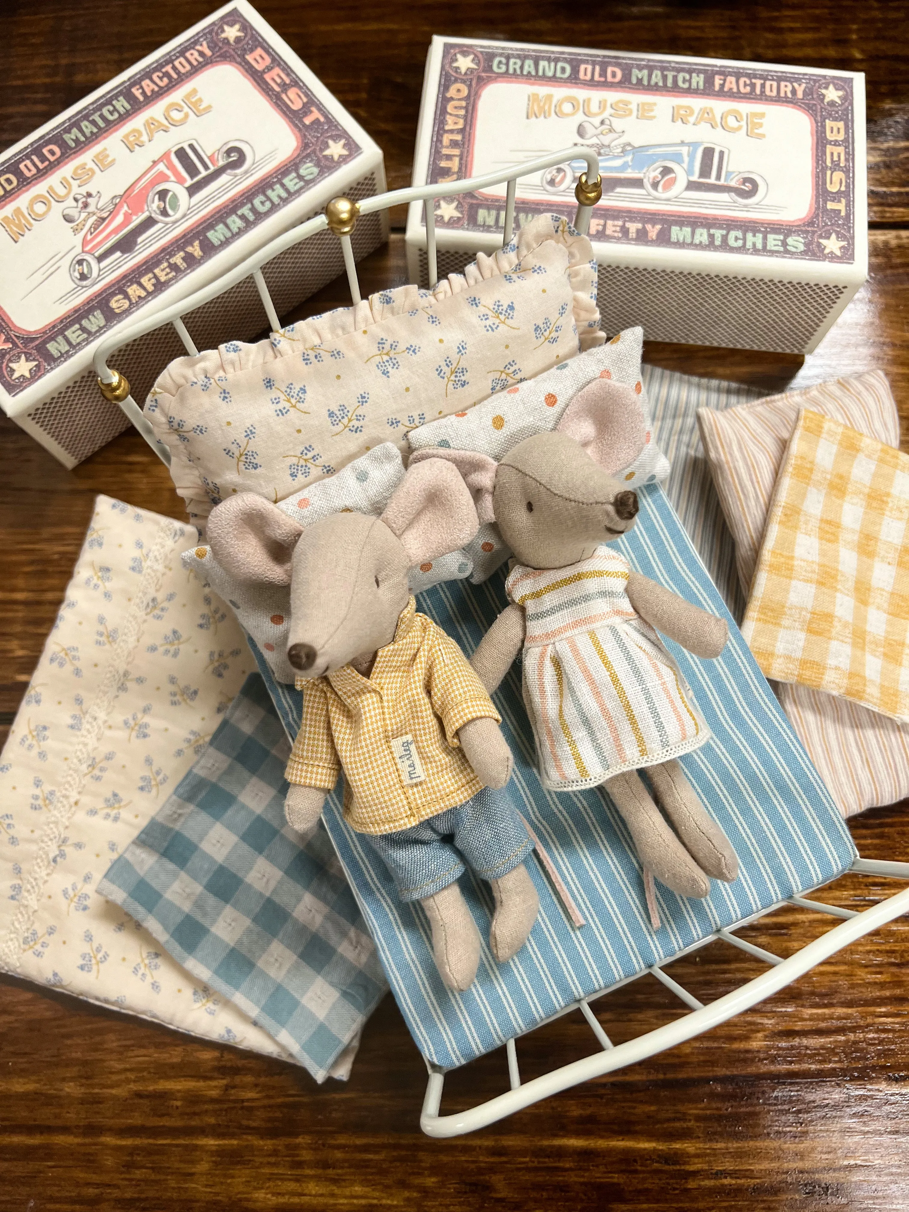 Big brother mouse in matchbox