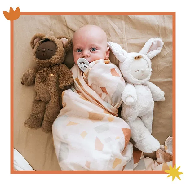 Cozy Dinkum- Teddy Mini