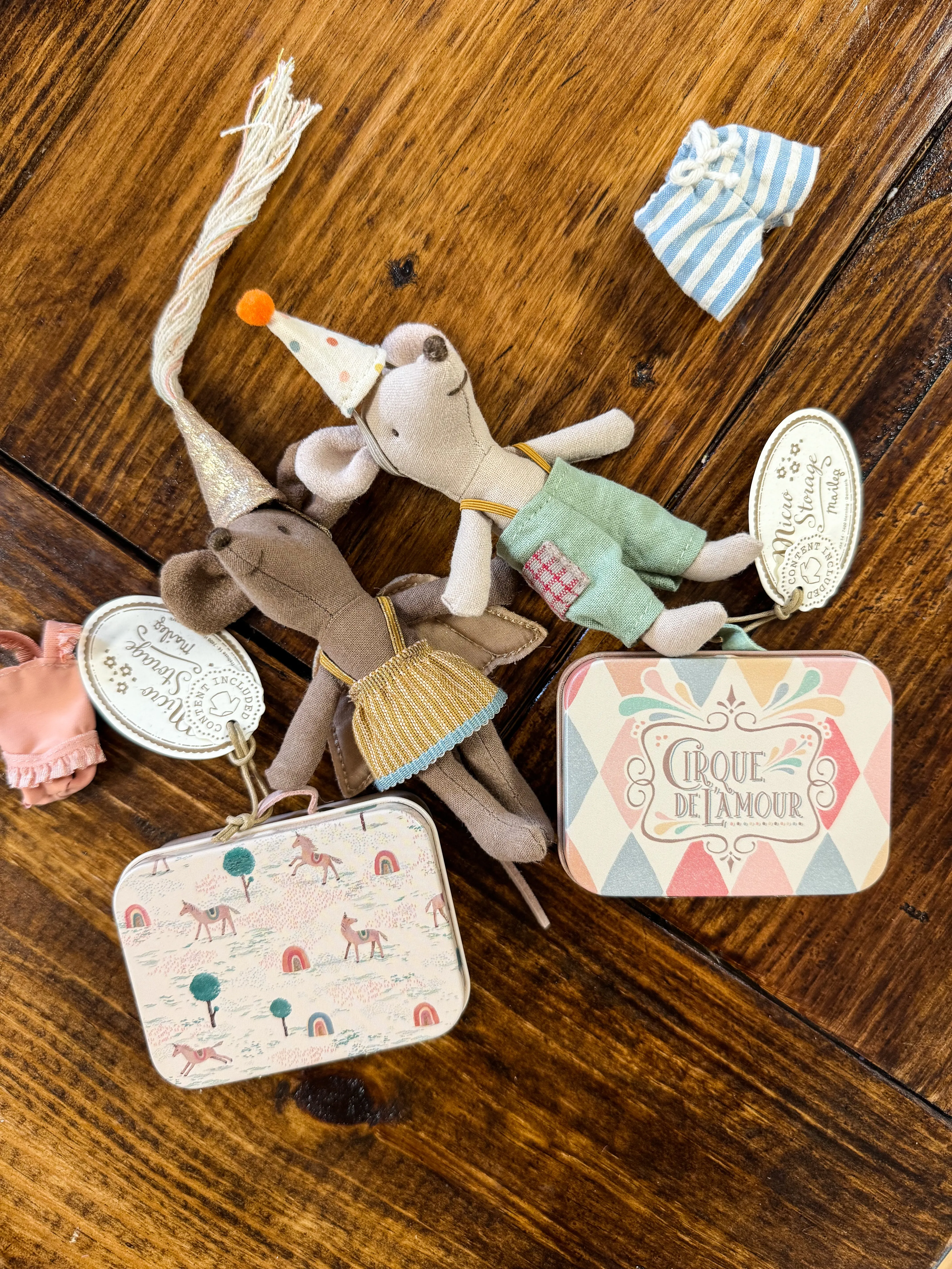 Fairy Clothes in Suitcase, Little Sister Mouse