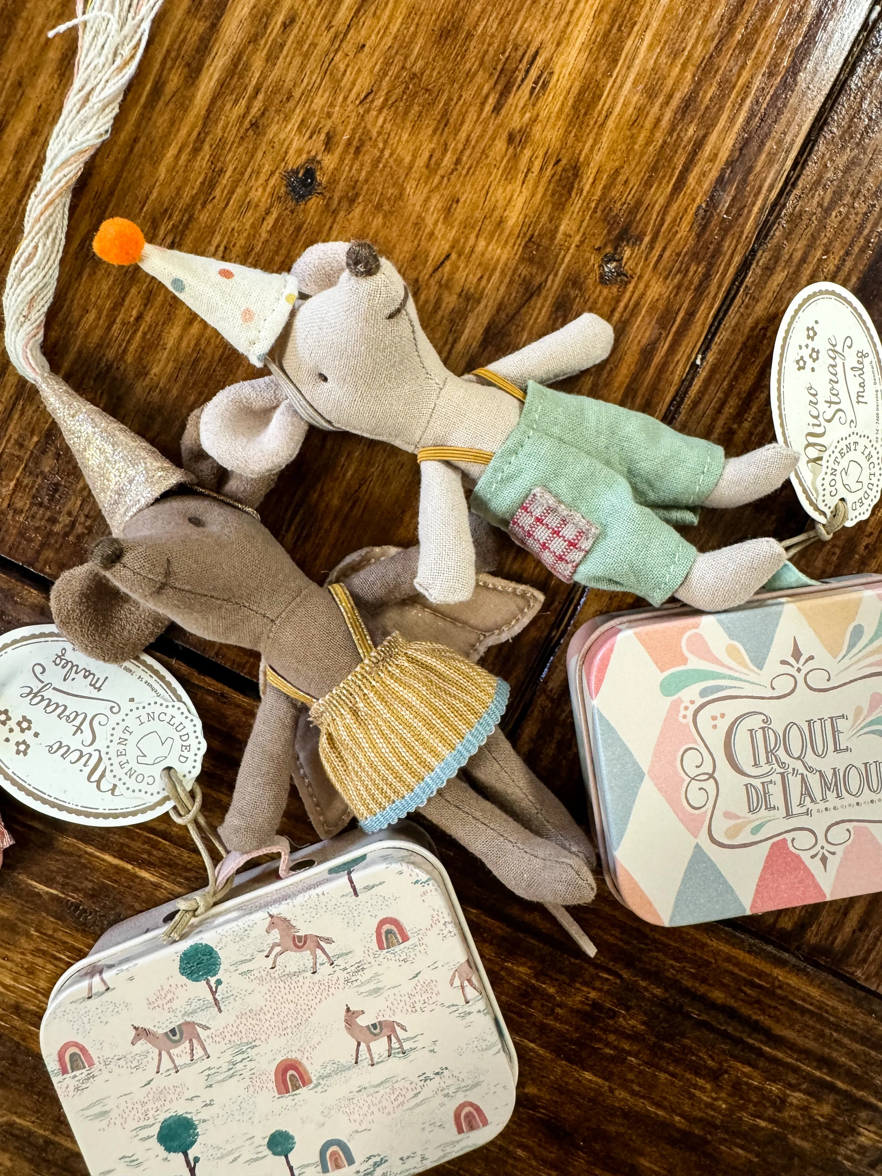 Fairy Clothes in Suitcase, Little Sister Mouse