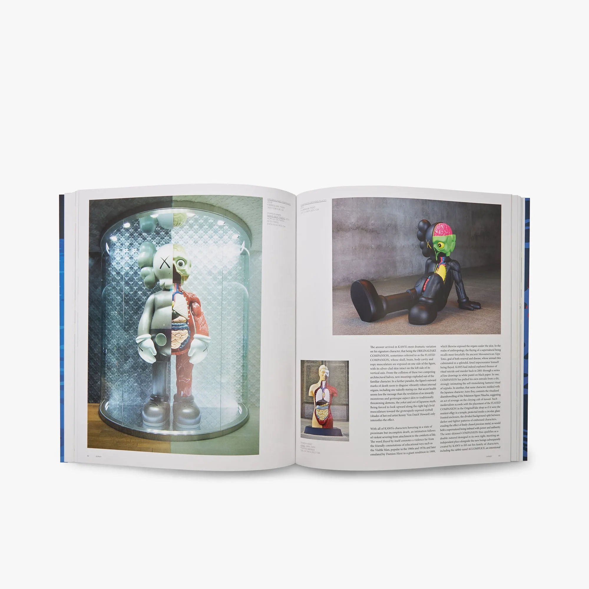 KAWS (Phaidon Contemporary Artists Series)