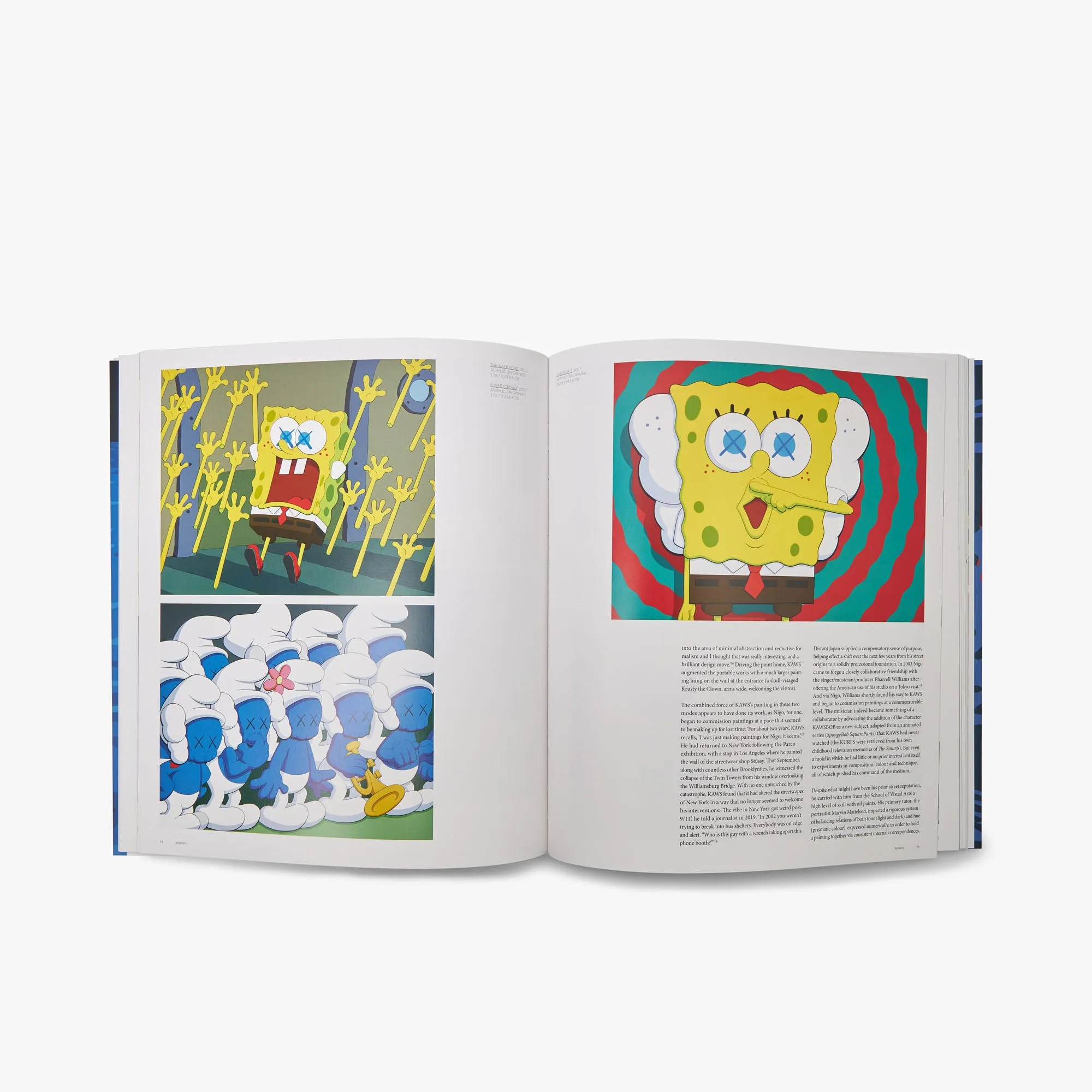 KAWS (Phaidon Contemporary Artists Series)