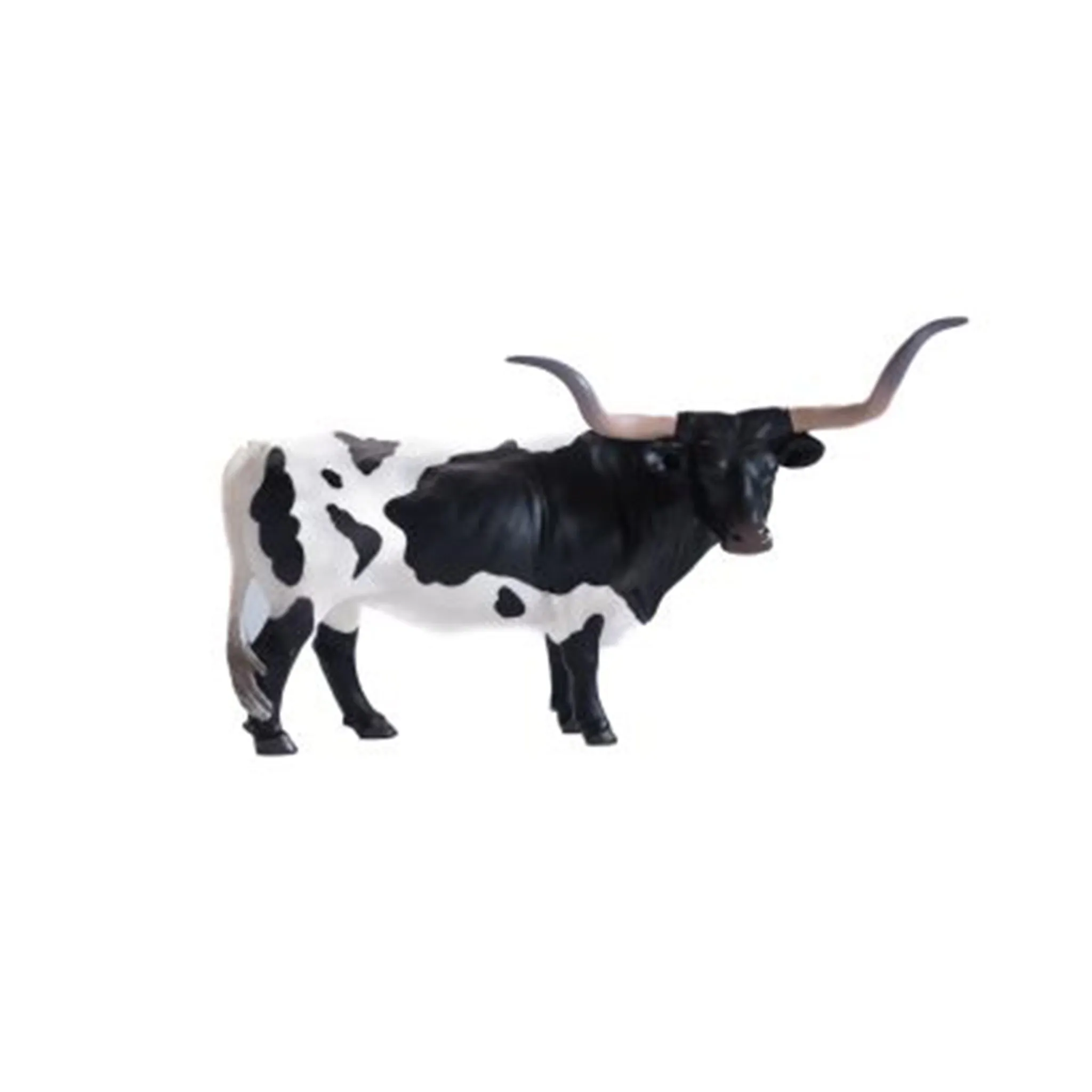 Little Buster Black & White Texas Longhorn