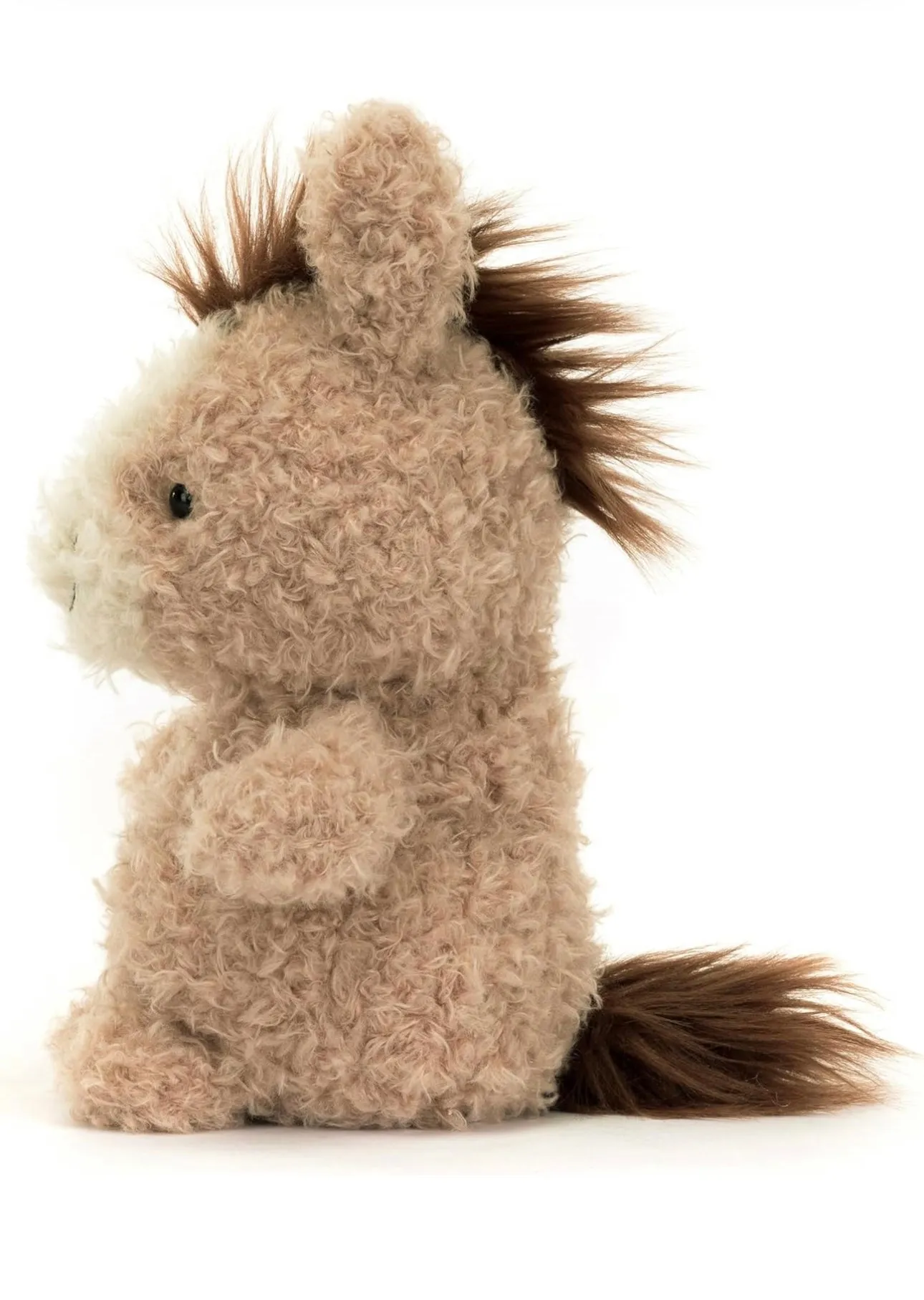 Little Horse